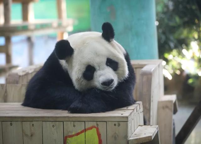 半价！半价！所有人半价！