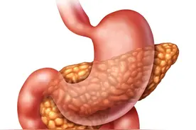 肚子胀不消化，感觉有一股气，要分情况应对图片