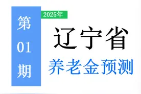 辽宁省，2025年养老金调整方案预测分析：有哪些变化，附案例！图片