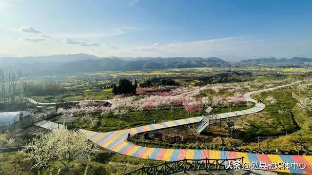【三国圣地 花海勉县】春日赴龙湾| 一场金色花海与山水之约