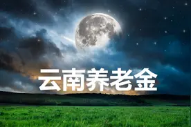 云南企业养老金的计算方法图片