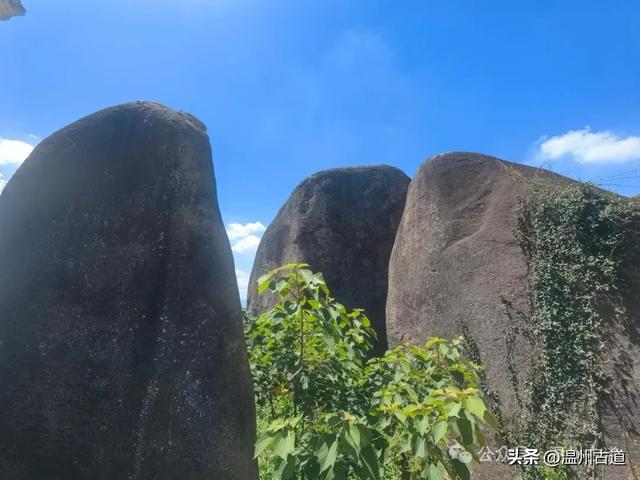 温州这处以奇岩异石著称的免费景区值得你来探秘