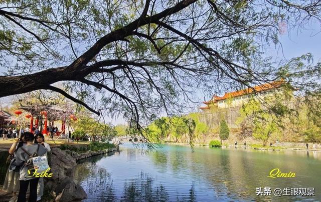 影记 | 春色春景之青州范公亭(上)