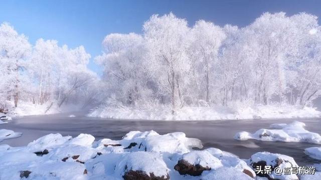 逊克雾凇秘境：北纬49°的冰雪童话史诗