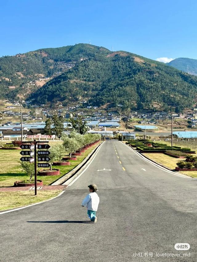 比大理浪漫！比昆明更近！高铁直达阳光小城，2万株蓝花楹美疯！观海登山，美食吃到爽！