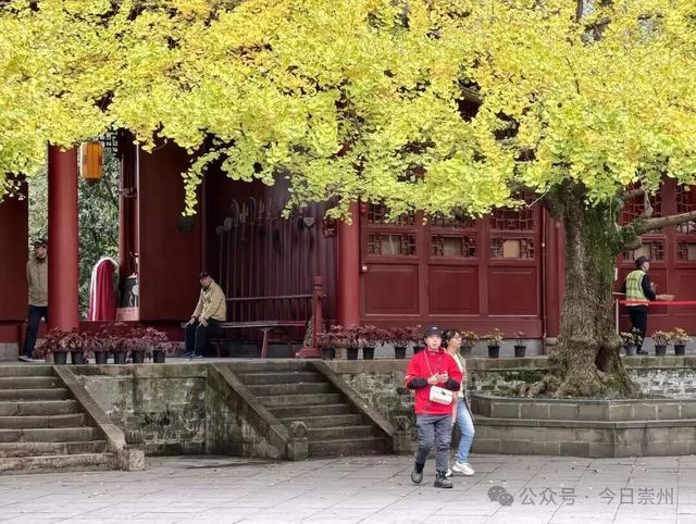 开始刷屏！🤩🤩 崇州罨画池迎来颜值巅峰