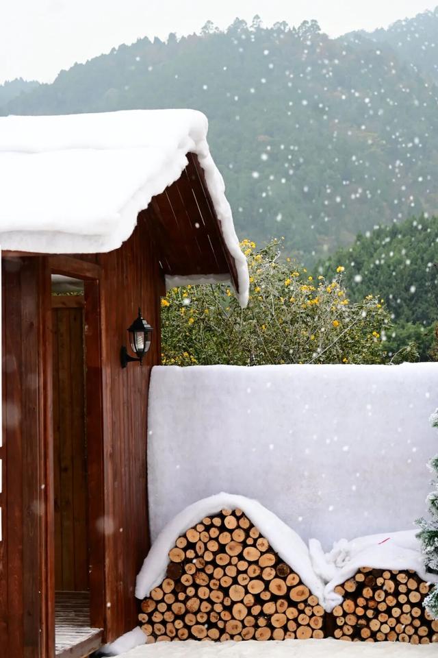 金堂这里“下雪”了！