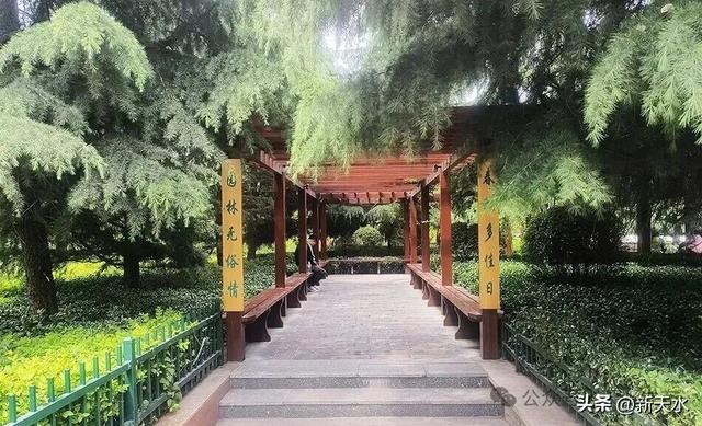 本条推文，自带“绿”镜~
