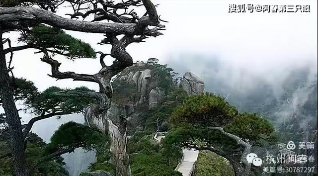 奇峻秀美 三清山