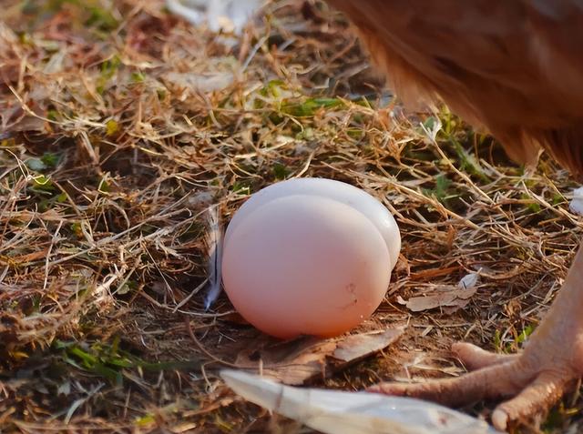报！开封又上新了~