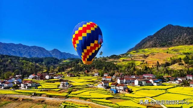 【三国圣地 花海勉县】来阜川,赏浓浓春色 品高山春茶!