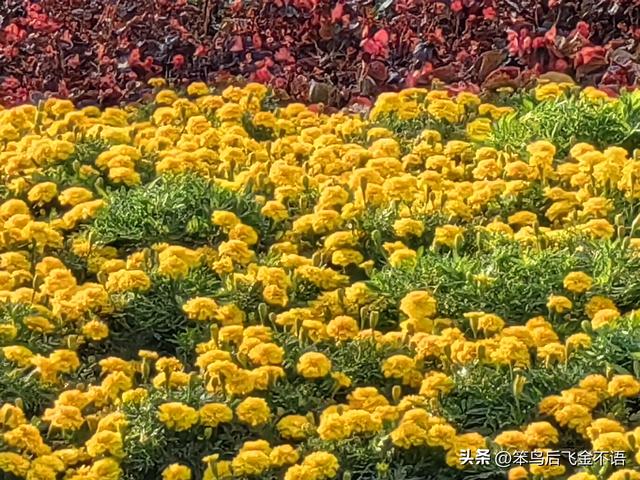 赣遊 ‖ 探访“中正大学”旧址