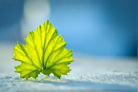 老人在这四种情况下，遇到亲友过世，最好是只随礼，别去现场图片