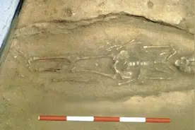 西安挖出7300年前少女，35处伤，含男性特征，专家：墓主是双性人图片