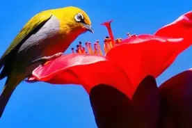 女人不拒绝异性肢体接触的心理图片