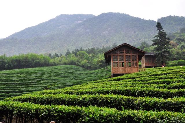 广西贺州姑婆山旅游度假区：走出一条绿色发展的“蝶变”之路