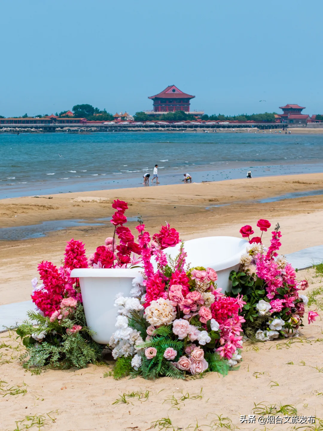 【乐游烟台】烟台太会了！来这里面向大海，解锁轻松time！