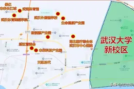 重磅：长江新区王炸地块来了！武汉大学项目用地即将挂牌拍卖！图片