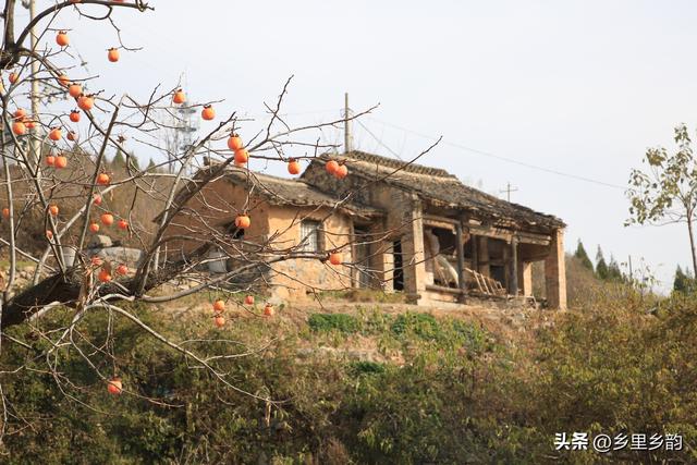 在太行山深处，村民成了候鸟，300口人的村庄只剩下10余位老人
