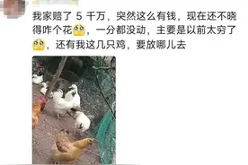 17套房，5000多万...四川多地网友晒天价拆迁补偿款？官方回应：没有一个是真的图片