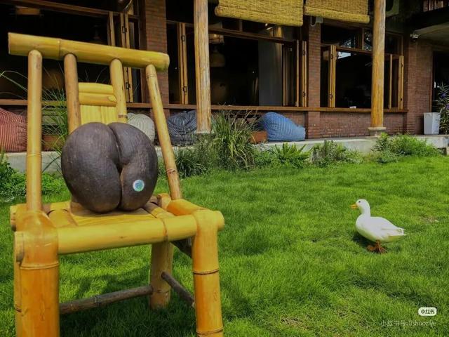 秋假来了！“不知道去哪儿耍”，来新津就对了