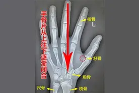 2024最新版《骨龄和身高对照表》，准确预测孩子将来能长多高！图片