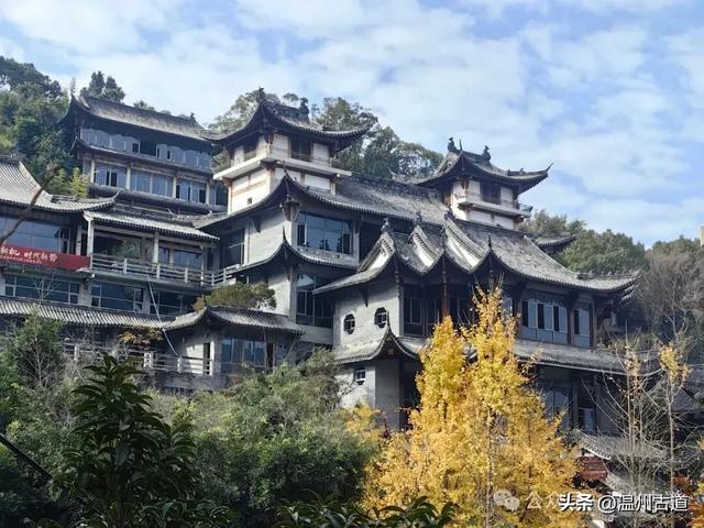 一树金黄，满城风雅！温州这棵著名的古寺银杏再不去就要落叶了