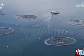 国内国外“双开花” 探秘高原三文鱼畅“游”世界背后的智慧密码图片