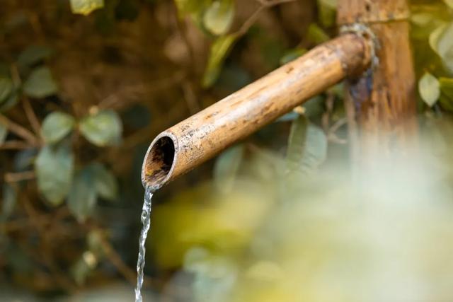 打工人的解压密码!在神农谷森林浴场,找回满格快乐