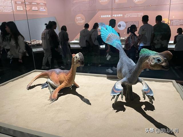 参观内蒙古博物院新馆