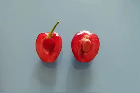 车厘子VS樱桃谁的营养价值更高？图片