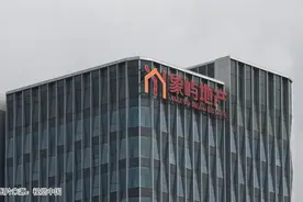 象屿集团，为何盯上前东北首富的“烂摊子”图片