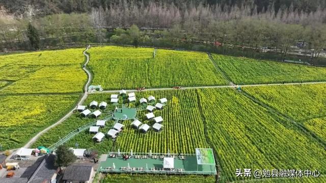 【三国圣地 花海勉县】春日赴龙湾| 一场金色花海与山水之约