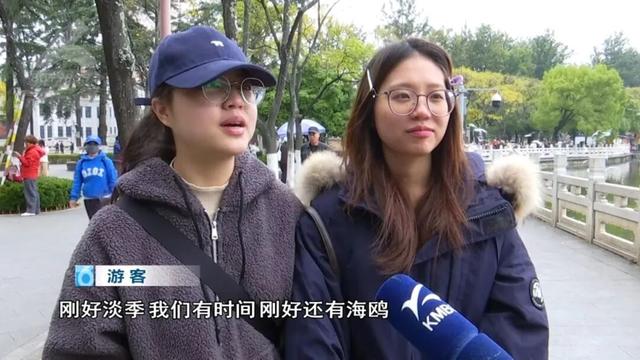 “人少不挤+暖阳鸥遇”，昆明“杀”进淡季旅游热门榜！
