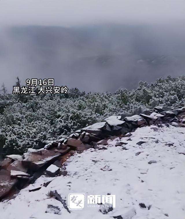 东北这里下雪了！