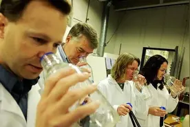 检测合格但味大，没有气味又超标，都是气味阈值在作祟。图片