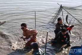 “头鱼”比去年重了10斤！太仓独溇小海举行冬捕渔乐活动图片