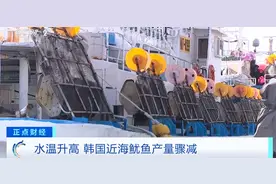 韩国鱿鱼“跑了”？！价格暴涨，什么情况？图片