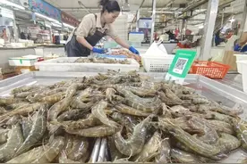 20元一斤！每天15万斤上市，很多青岛人爱吃，价格降了不少……图片