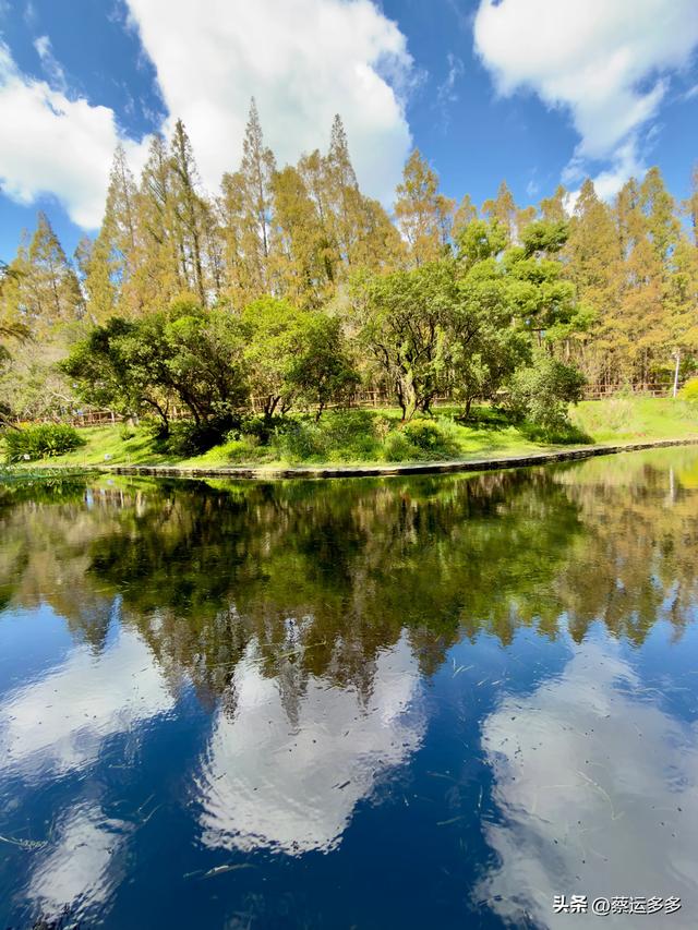 重阳节，上海赏秋之美