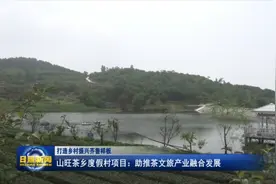 日照山旺茶乡度假村项目：助推茶文旅产业融合发展图片