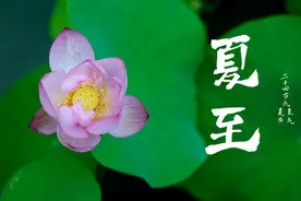 “热不热，看夏至”，今日夏至，今年的三伏天很热吗？看农谚咋说图片