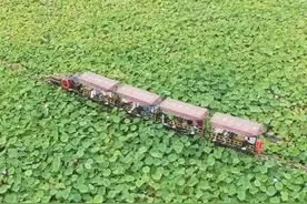 【奔向春天的花季】青格达湖景区：小火车开启别样游玩之旅图片