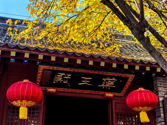 泰山王母池蜡梅初绽 花叶同枝尽显冬日诗意