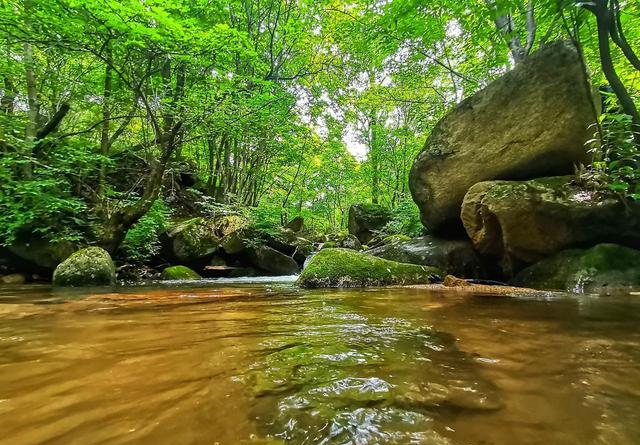 清明小长假，兰州周边撒欢指南！赏花烧烤划船，邂逅甘肃小洱海