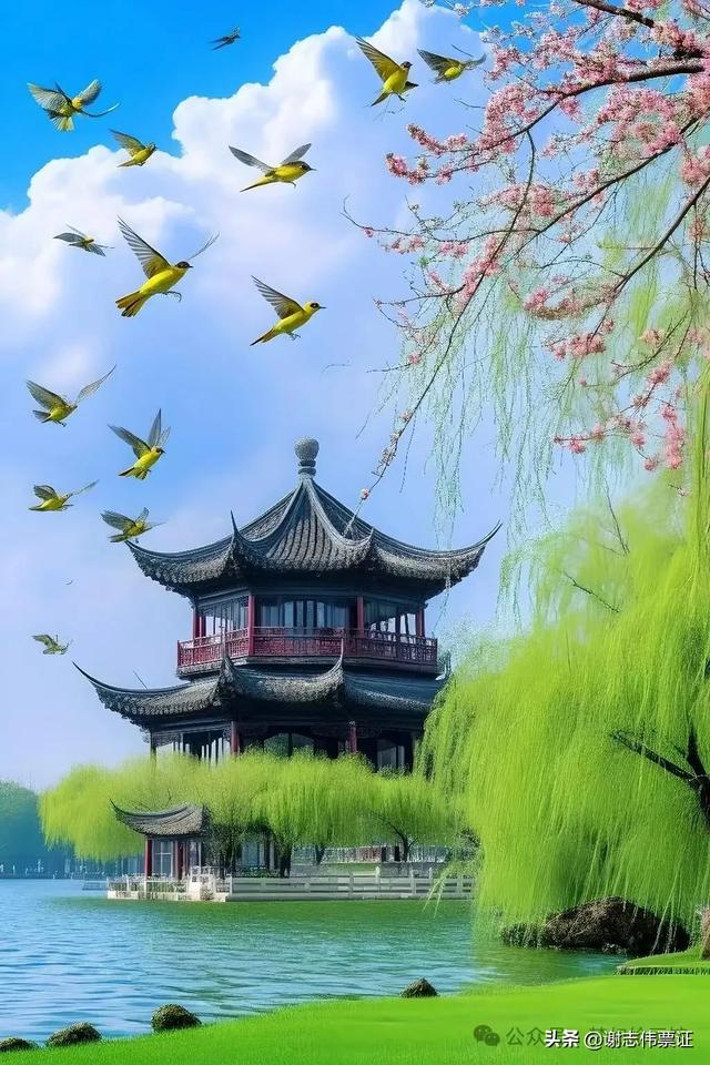 柳绿花红 风光无限