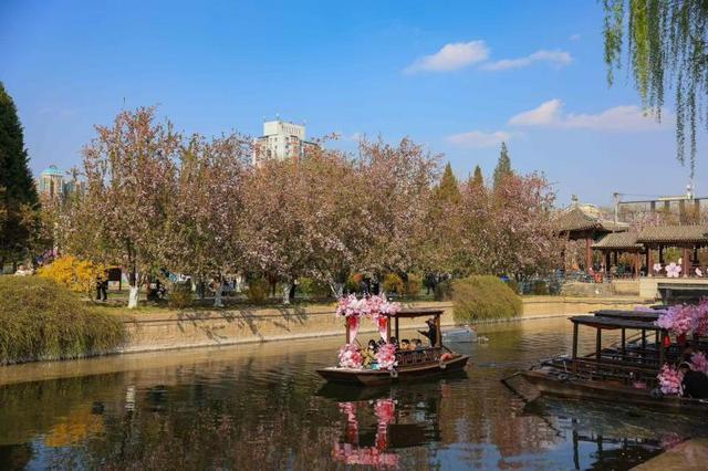 海棠翻倍花期延长！元大都摇橹船启航，不出京游江南