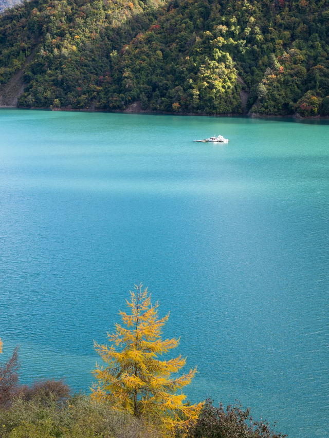 比光雾山好看，比米亚罗便宜！成都4h直达小众彩林0门票，红遍了