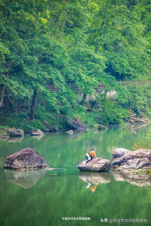 直冲30℃，咸宁请客，出来玩！