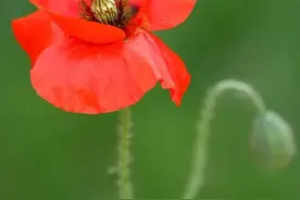 两性关系中，男人的“用力”与女人的“感受”图片